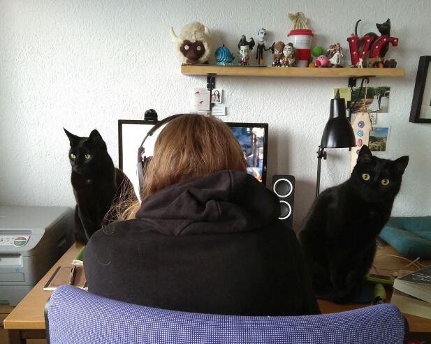 Me surrounded by my two cats, not CAT tools.